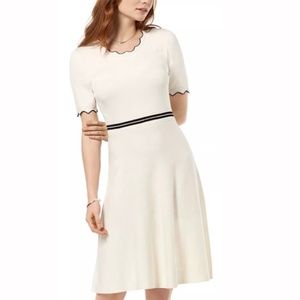 💐Maison Jules Scalloped Fit and Flare Dress XL